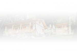 Cosama Village | Sighisoara